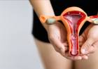 Científicos crean el primer chip del mundo con vagina