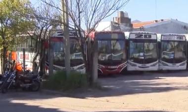 Esta semana se definirá cambio de recorridos de colectivos